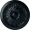 Ekena Millwork Vienna Ceiling Medallion (Fits Canopies up to 3 1/4"), Hand-Painted Night Shade, 16 7/8"OD x 5/8"P CM17VINSF - alternate 1